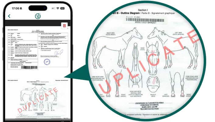 Conserver les documents importants